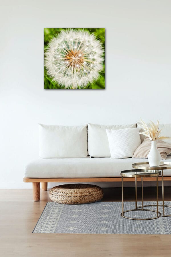 Zeit für Wünsche – Leinwandbild Pusteblume als filigrane Makrofotografie