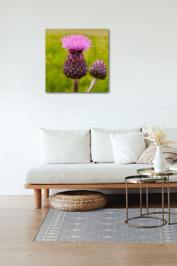 Wilde Schönheit – Leinwandbild einer lila Distelblüte in Makro