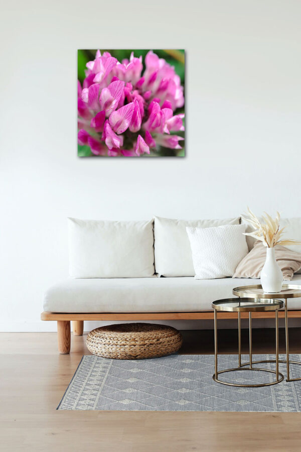 Wiesentraum – Leinwandbild einer Rotklee-Blüte in Makro