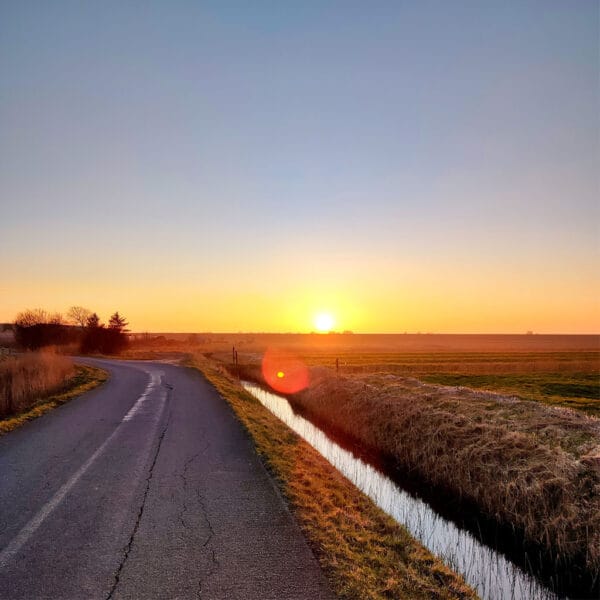 Goldener Horizont – Leinwandbild Sonnenuntergang auf dem Land