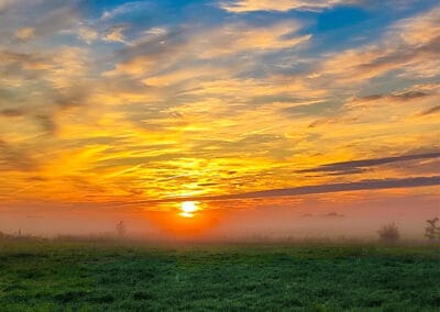 Morgengold – Leinwandbild vom Sonnenaufgang über einer nebligen Wiese