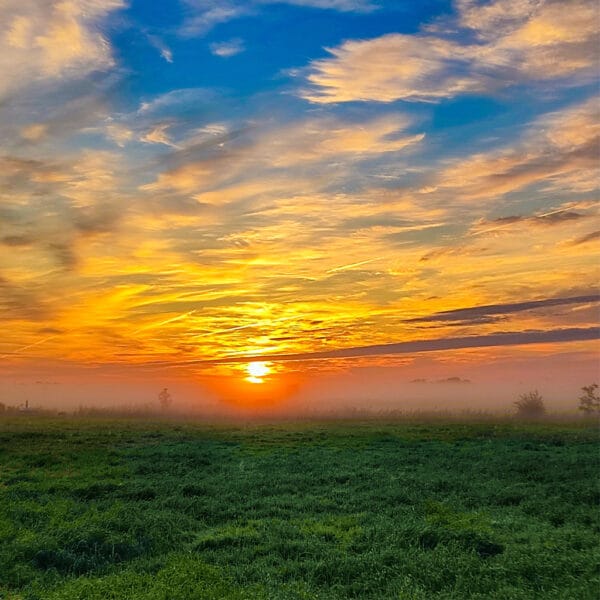 Morgengold – Leinwandbild vom Sonnenaufgang über einer nebligen Wiese